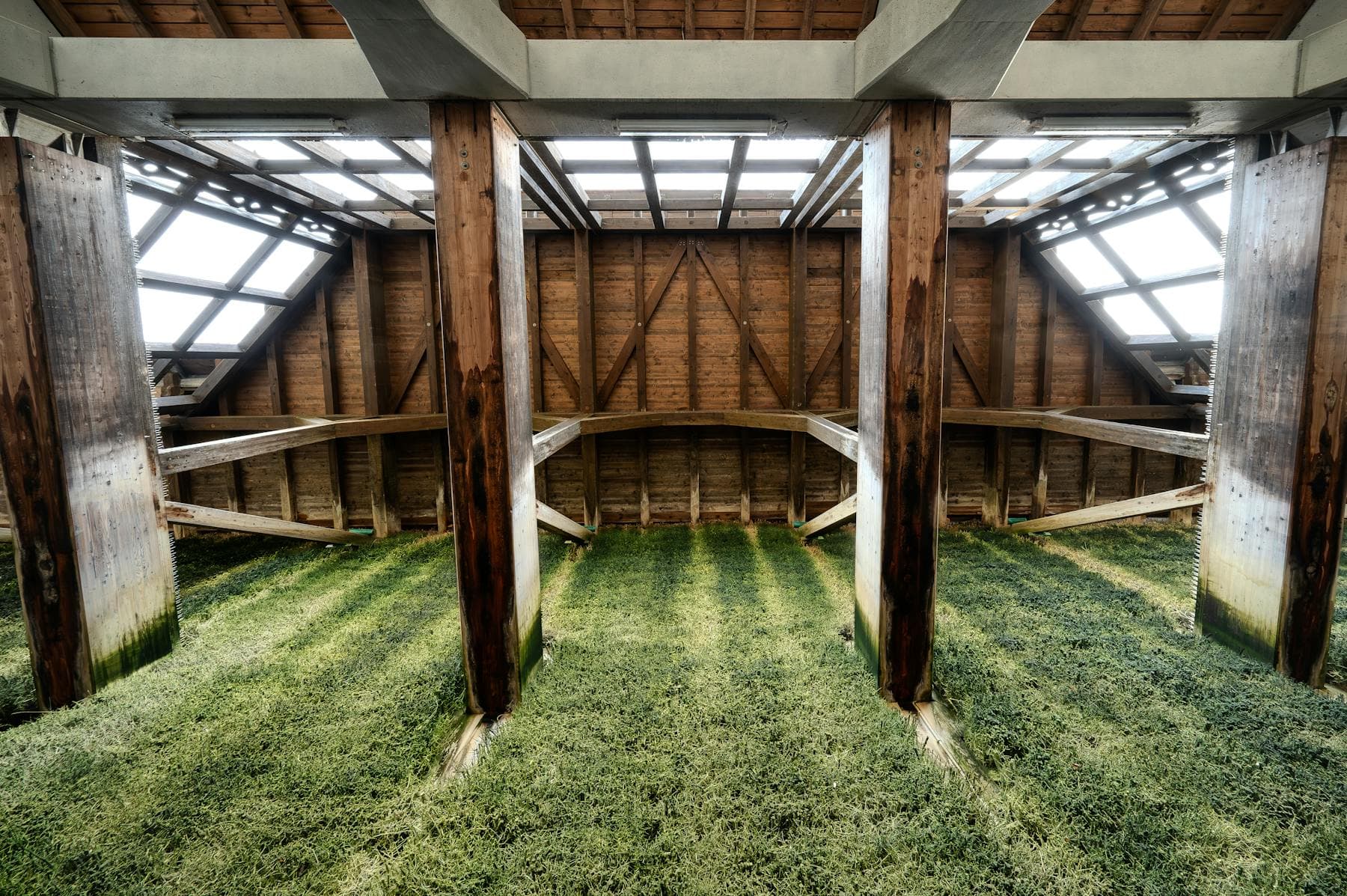 Warm timber structure with exposed beams and natural light